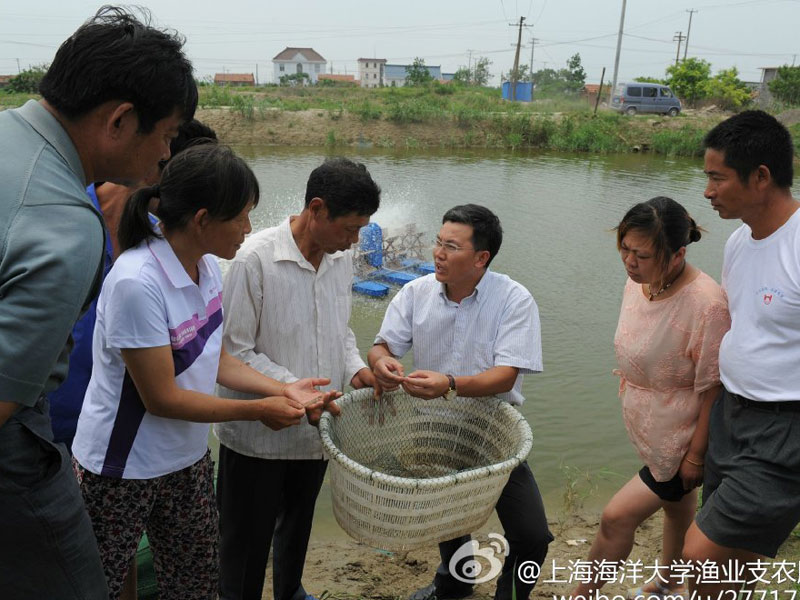 7月28日,上海海洋大學(xué)“漁業(yè)科技支農(nóng)”服務(wù)團(tuán)赴如東縣長(zhǎng)沙鎮(zhèn)富鹽村進(jìn)行科技支農(nóng)服務(wù)。圖為團(tuán)隊(duì)技術(shù)指導(dǎo)鐘博士在向養(yǎng)殖戶講解魚類科學(xué)養(yǎng)殖的方法。