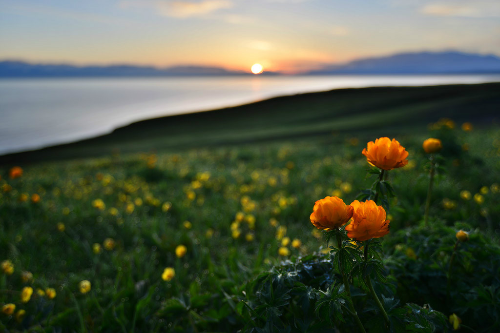 ��������l�ĸ�᣿