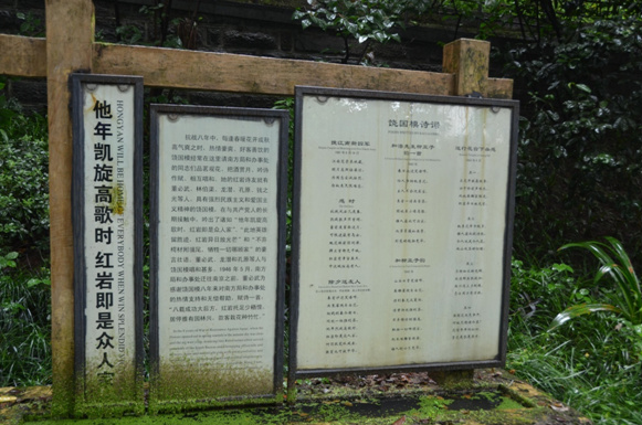 �D6 �ۇ�Ů���I������ģͬ־����Ԋ�~���ޝ�� �z��