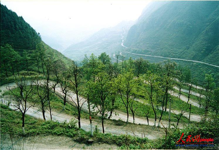 ��¡��24���ա�֮�ġ���ꐁ��֔zӰ��