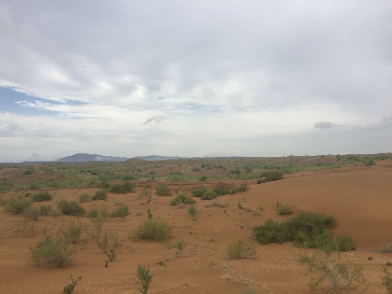 �v����ɳĮ�޾W������ݷ����ﲼ�M�[�d��ɳ��ֲ�