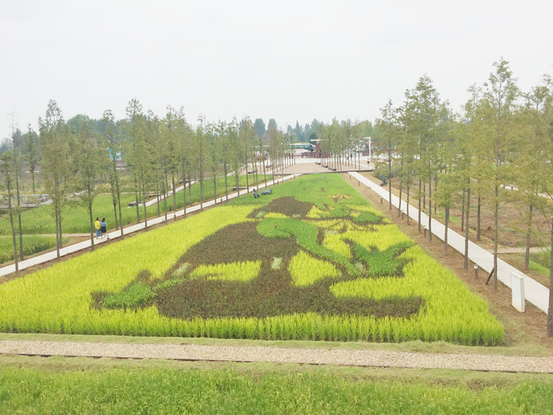 ������L�������������zӰ����־�ۣ�