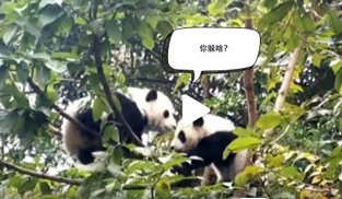 �L�L��̫�ɐ�(��i)�ˣ�С��ȫ�̡���ĸЦ����