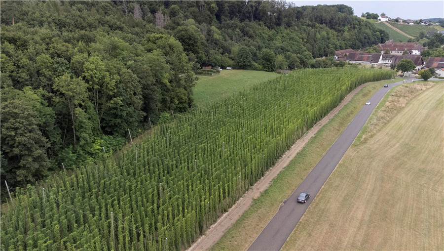 ��ʿ��˹�����l(xi��ng)�徰�^(gu��n)����