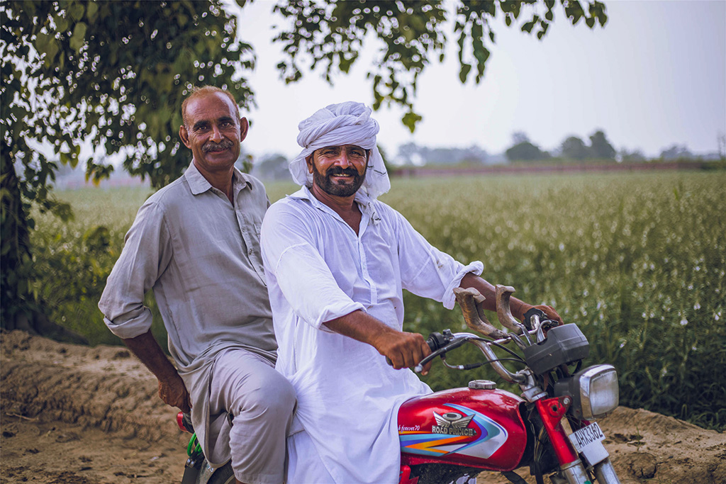 芝麻種植基地給當地人帶來更多就業機會。（人民網記者 薛丹攝）