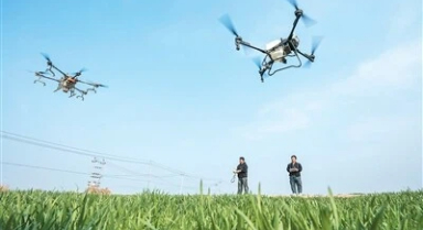 無人機施肥更高效