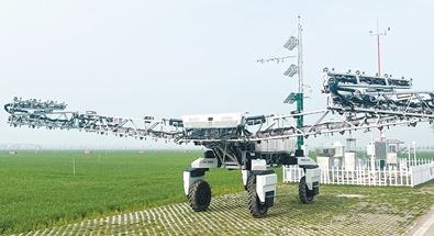 搶春分 抓田管 越關口